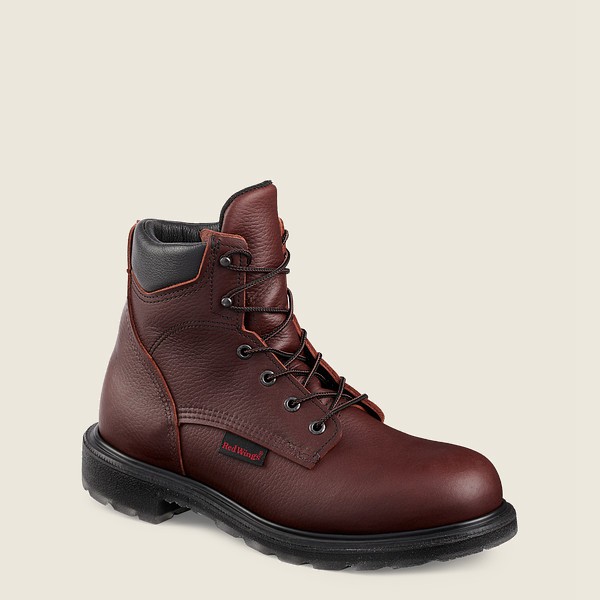 Safety Støvler Herre - Red Wing Supersole® 2.0 - 6-Inch Toe - Bordeaux - AIUQRF-831